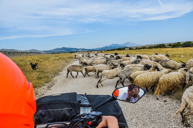 ATV Dinara Mountain tour with picnic - Who this ATV tour suits best (and who should skip it)