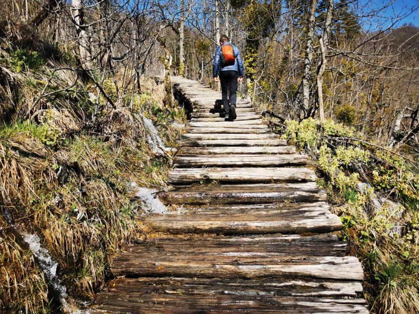 From Split: Plitvice Lakes Full-Day Trip - Entering Plitvice: what 4 hours in the park really means