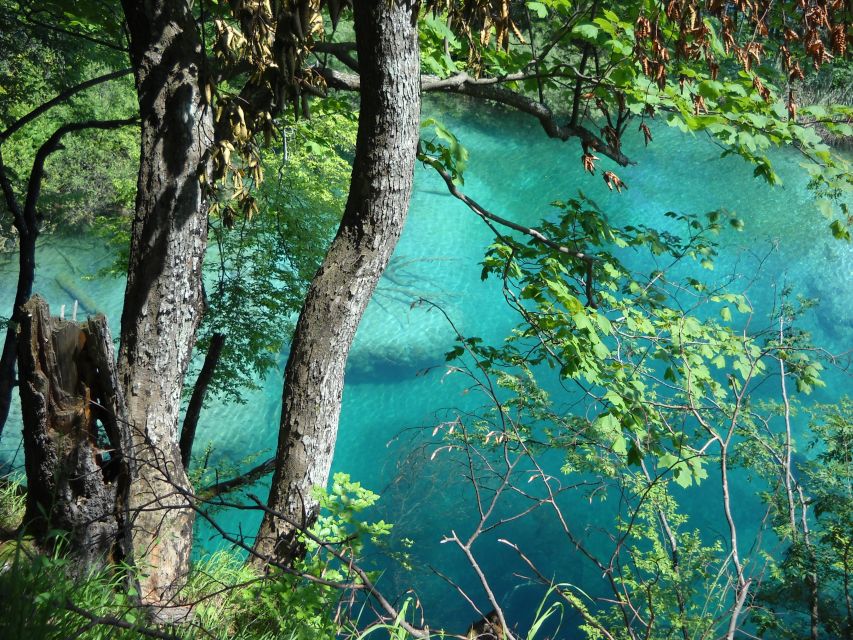 From Split: Plitvice Lakes Full-Day Trip - Value and price: does it make sense from Split?