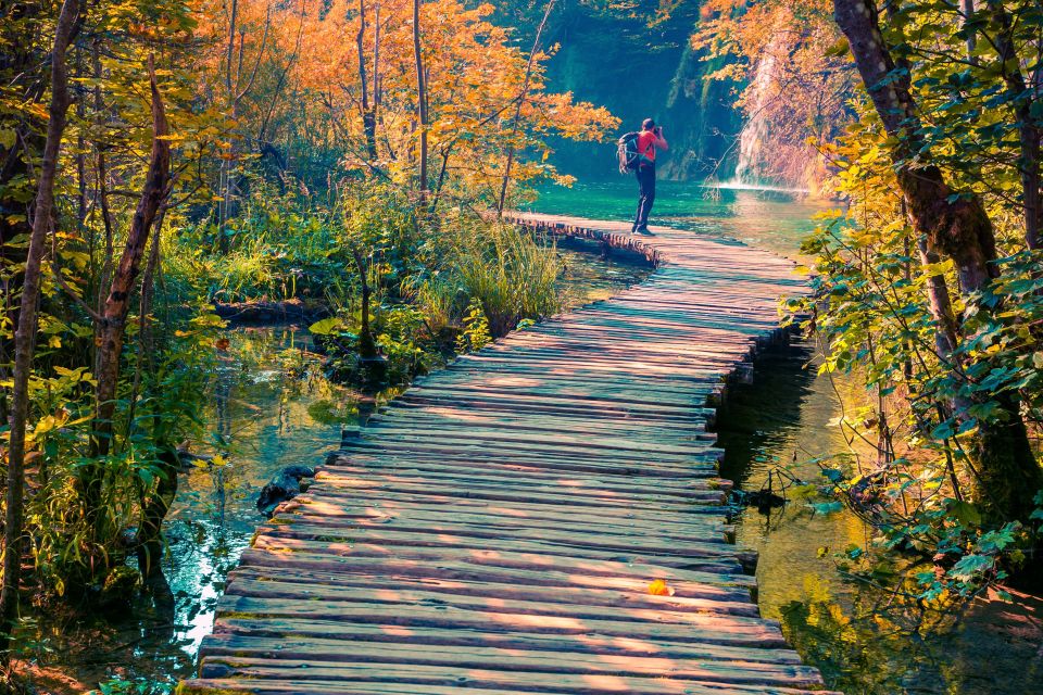 From Split: Plitvice Lakes Guided Tour with Entry Tickets - Price and Value: What $116 Includes (and What It Doesn’t)