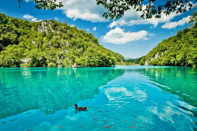Guided transfer from Split to Zagreb with Plitvice Lakes stop - Road Trip Reality: Comfortable Transport, Still a Long Day