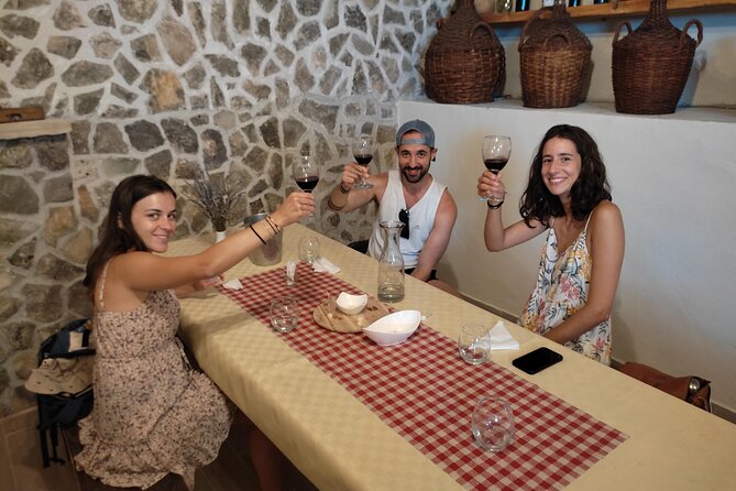 Krka National Park Tour with tour Guide & Wine tasting from Split & Trogir - Wine tasting in Skradin: why it gets repeated high marks