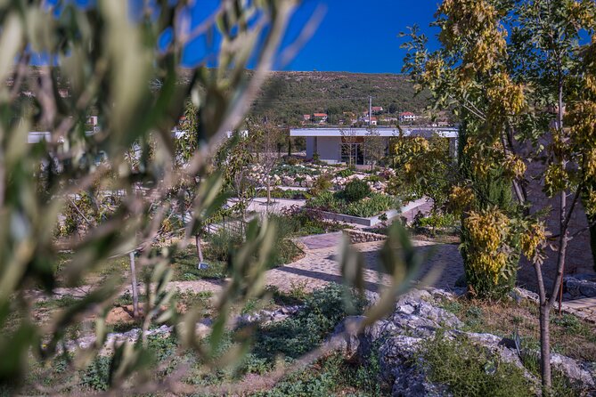Olive museum Klis with educational olive oil tasting - Price and value: is $17.98 worth it for 1 hour 15 minutes?