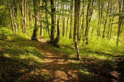 Plitvice Lakes Tour from Split with Entrance Ticket included - Entering Plitvice: 4 hours among 16 interconnected lakes