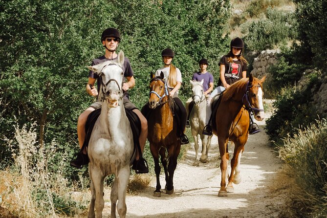 Ranch 22 Podstrana, " Horse riding 12 km from SPLIT " - Perun hill and the best views: islands and coast you can actually name