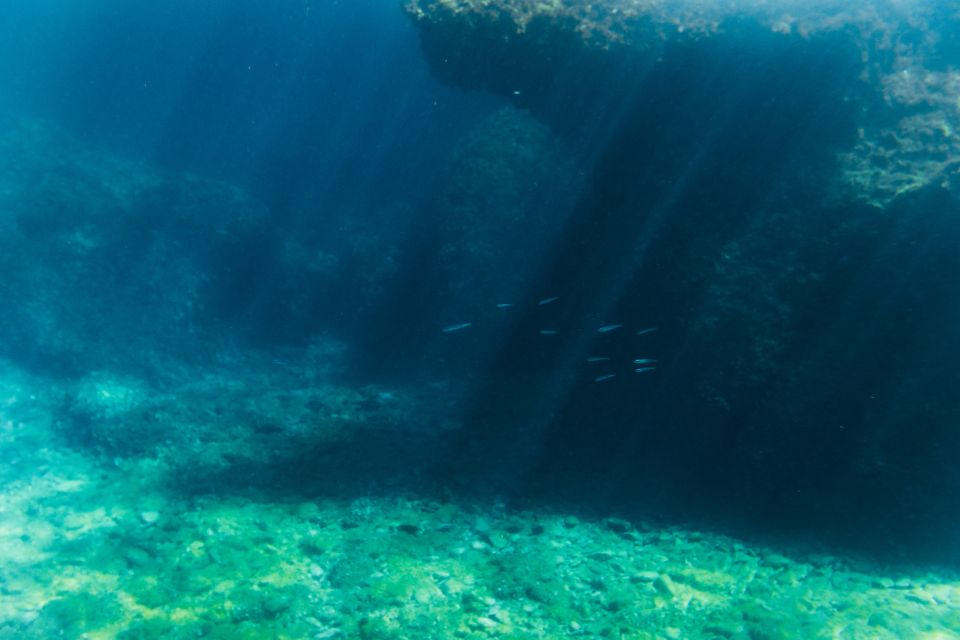 Split: 45-minute Semi-Submersible Submarine Trip - Day vs night: underwater lights change the feel