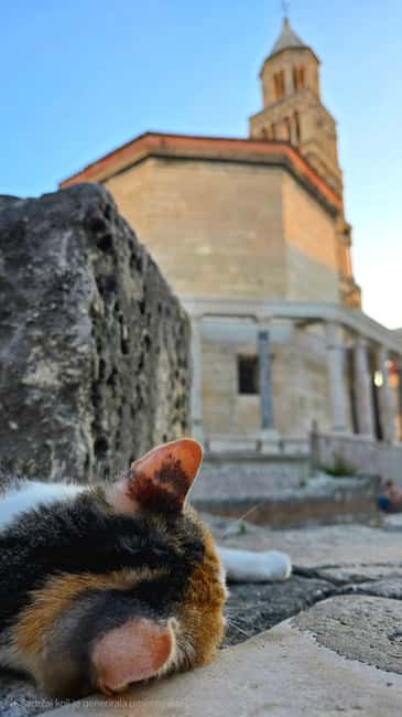 Split and Diocletian's Palace walking tour with a local guid - Finding the southern entrance on the Riva without stress