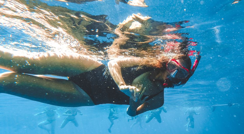 Split: Blue Cave and 5 Islands Tour - Pakleni Islands: the “in front of Hvar” playground