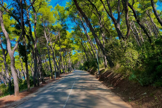 Split by Private Electric Rickshaw - Palace & Hidden Gems - Marjan Forest Park: car-free access and the best payoff for your legs