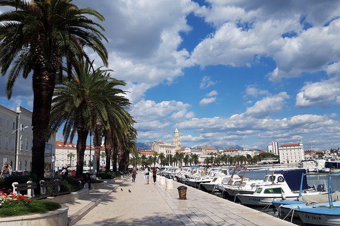 SPLIT-PRIVATE Walking Tour of Diocletian's Palace & Old Town - Key highlights you’ll feel fast