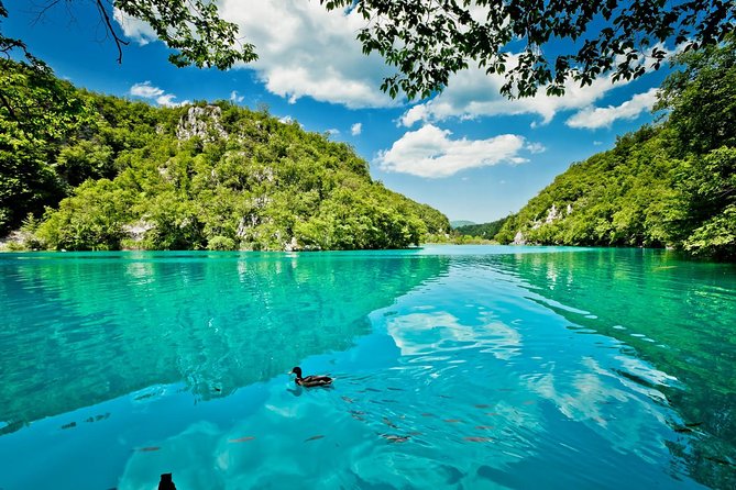 Split to Zagreb Group Transfer with Plitvice Lakes guided tour - Zagreb drop-off: getting to the city without extra hassle