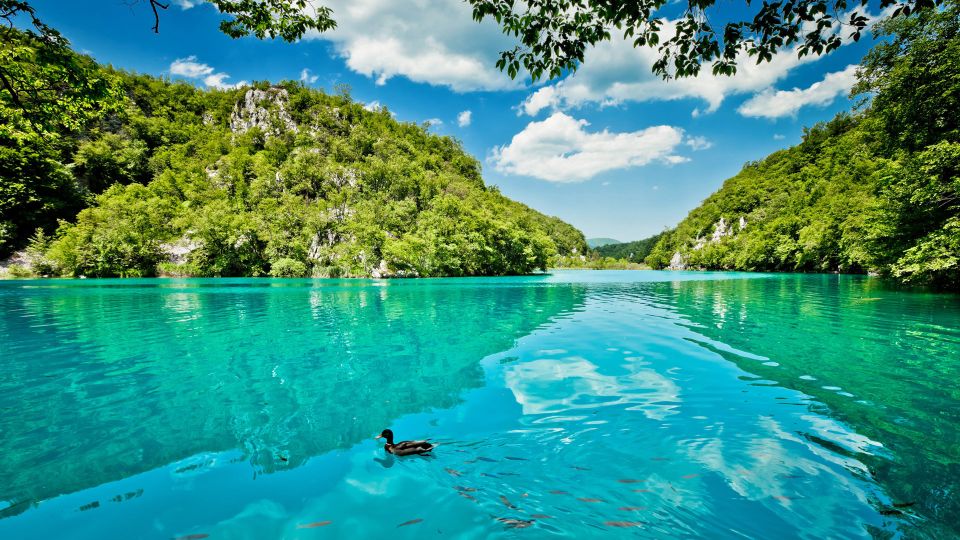 Split: Transfer to Zagreb with Plitvice Lakes Entry Tickets - Who this suits best (and who should rethink it)