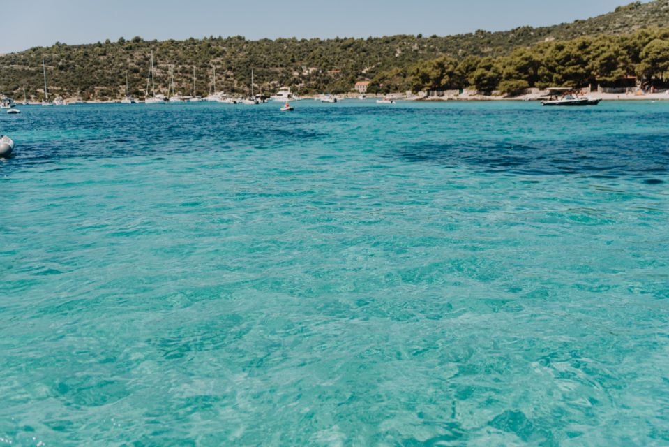 Split/Trogir: Blue lagoon and 3 islands speedboat tour - Blue Lagoon (Krknjasi Bay) on Veliki Drvenik: swim, snorkel, and rocky reality